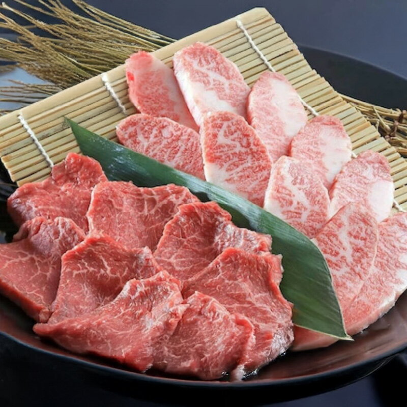 【ふるさと納税】 【ナカヤマさんちのお肉】うしの中山 焼肉食べ比べ （赤身・カルビ）1kg（500g×2P） 鹿児島 黒毛和牛 和牛 牛肉 肉 国産 冷凍 焼肉 焼き肉 焼き肉セット 焼肉用 BBQ バーベキュー 【株式会社nixy 中山亭 鹿屋店】