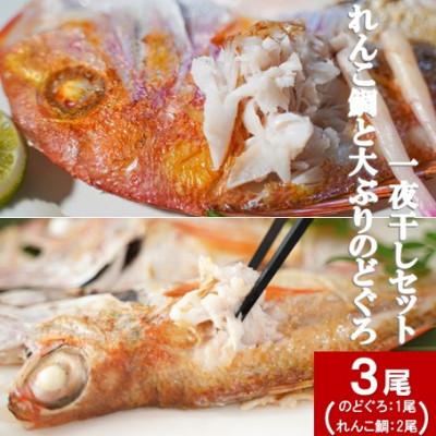 ふるさと納税 大田市 れんこ鯛(2尾)と大ぶりのどぐろ(1尾)一夜干セット　(B182)