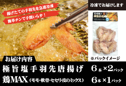 【2025年1月以降発送・レンジでチンするだけ♪】極旨塩 手羽先 唐揚げ 鶏MAX！セット（鶏肉 手羽先 手羽 唐揚げ もも肉 鶏皮 せせり 調理済み 冷凍 人気）