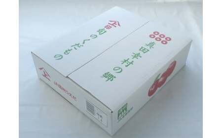 シナノゴールド りんご 贈答 約5kg  果物 シナノゴールド