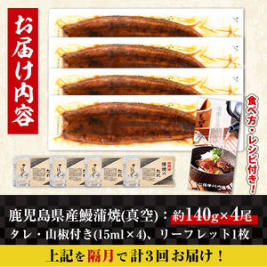 i1083-B ＜定期便・計3回(隔月)＞鹿児島県産うなぎ蒲焼4尾セット＜(約140g×4・計約560g)×全3回＞ うなぎ 鰻 ウナギ 4尾 蒲焼き 国産 鹿児島県産 焼きたて 生産量日本一 真空パ