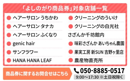 【吉野ヶ里町内で利用できる！】よしのがり商品券3000円分（500円×6枚）【吉野ヶ里町商工会】 [FBW001]