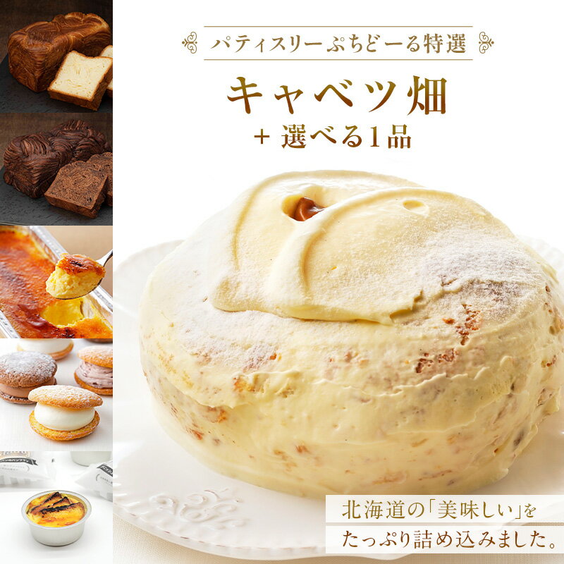 【ふるさと納税】選べるスイーツセット 北海道 釧路発 大人気 スイーツ メイン ＋ 5種 から 選べる スイーツセット パイシュー ケーキ デニッシュ パン ショコラ カタラーナ ブッセ パンプリン プリン デザート スイーツ F4F-4282var