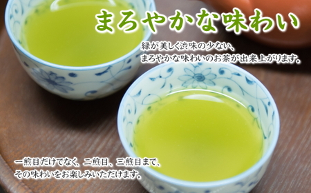 038-9　摘みたて！特上深蒸し茶100ｇ×6本　包装袋セット