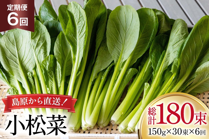 BI333 定期便 6回 小松菜 30束 [ 野菜 こまつな やさい 冷蔵 葉物野菜 田中農園 長崎県 島原市 ]