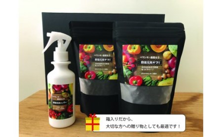 家庭菜園にオススメ！ ベランダー農業女子セット 家庭菜園 家庭菜園 家庭菜園 UB015