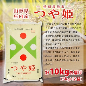 SE0462　令和7年産【精米】特別栽培米 つや姫　10kg(5kg×2袋) AK