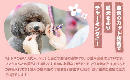 トリミング チケット 6,000円分