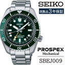 【ふるさと納税】 セイコー 腕時計 おすすめ SBEJ009 SEIKO プロスペックス メカニカル 3年保証 ／ 岩手県 雫石町 時計 ウォッチ ウオッチ 男性用 メンズ ビジネス フォーマル カジュアル 高級 プレゼント ギフト ブランド 父の日 成人祝い 社会人 記念日 お祝い 送料無料