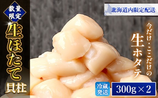 
                  【北海道内限定配送！生ほたて】《期間限定》北海道雄武産 生玉ほたて 300ｇ×2 塩水パック(冷蔵) | 配送地域限定 生ホタテ 新鮮 ホタテ 帆立 ほたて 大粒 生 生玉 冷蔵 塩水パック 塩水 未冷凍 オホーツク オホーツク産 オンライン 刺身 魚貝 魚介 海鮮 海産 海産物 魚介類 ふるさと納税  雄武町 雄武漁業協同組合 北海道【0715202】
                