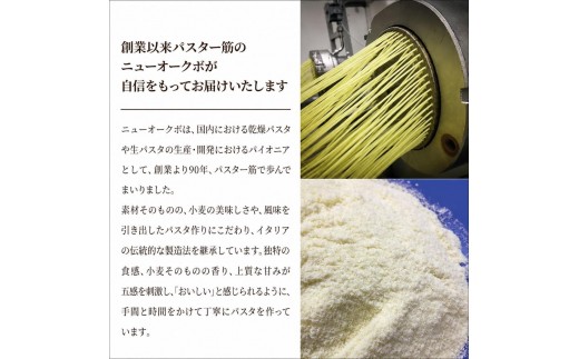 ザ・クラフトパスタ　イタリアンギフト 〈 スパゲティ スパゲッティ プレゼント 箱入り BOX もちもち モチモチ 乾麺 麺 国産 イタリアン料理 セット ランチ 1.6mm 自宅用〉