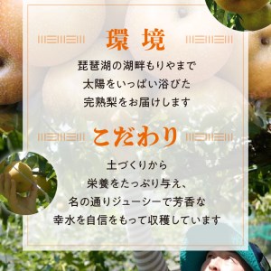 完熟採り　もりやま梨（幸水）3キロ～3.5キロ【先行予約】 CW-0006