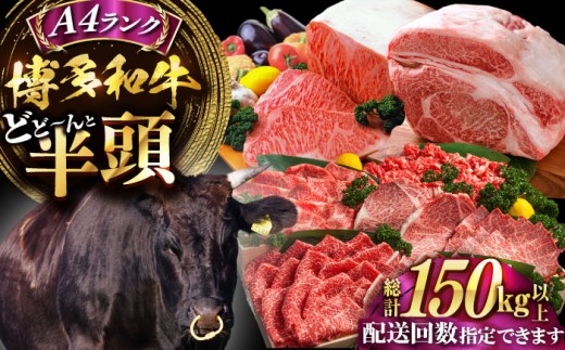 【半頭丸ごとオーダーカット！】博多和牛 半頭食べ尽くしセット《豊前市》【株式会社MEAT PLUS】 [VBB083]