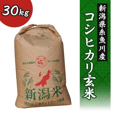 ふるさと納税 糸魚川市 令和7年産 新潟県糸魚川産コシヒカリ玄米1等30kg