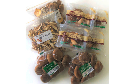 しいたけ 詰合せ 生椎茸 乾燥椎茸 セット 椎茸 乾物 干し椎茸 しいたけ
