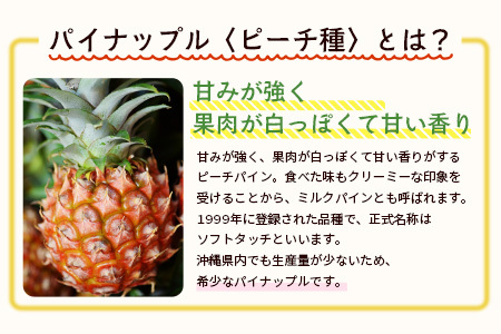 【予約受付】石垣島産　有機パイナップル・ピーチ種 3玉（約2.4kg前後）〈常温〉《６月上旬～順次発送予定》｜パイナップル パインアップル 石垣島パイン フルーツ 果物 くだもの 南国フルーツ 国産パ