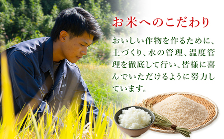 令和7年産 米 にこまる 約10kg (10kg×1袋) こめ コメ 玄米 西川農園《30日以内に出荷予定(土日祝除く)》 熊本県 荒尾市 米 玄米 こめ 