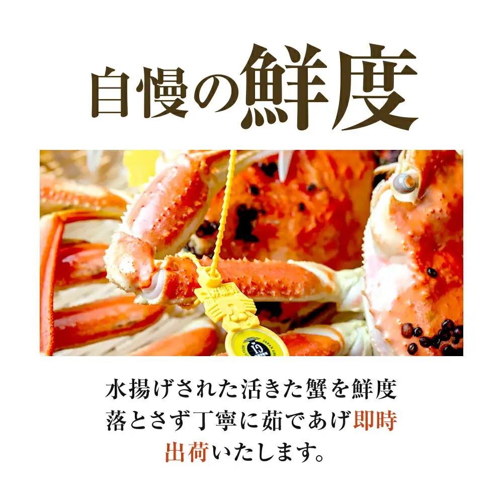 【先行予約/11月7日より順次発送】【希望月指定可】 越前がに 600ｇ×1ハイ  / 蟹 ズワイガニ ずわいがに ボイル 冷蔵 小浜市 / まるほ商店 【配送不可地域：北海道・沖縄・離島】[BFCS