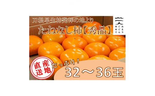 ＜R7年10月以降発送＞刀根早生柿発祥の地より「たねなし柿」L～2L(32～36玉)＜秀品＞【1138161】