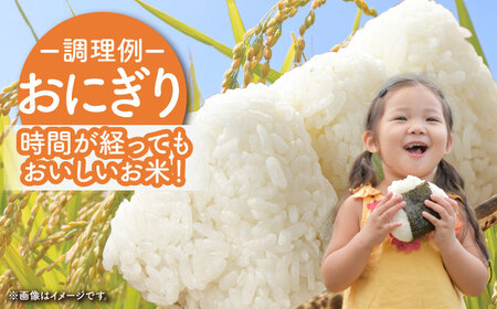 【ご飯でご飯が食べられる！】さがびより 白米 5kg（一等米）【一九FARM】[HDC001]