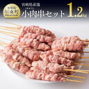 【ふるさと納税】※レビューキャンペーン※ 小肉（せせり）串セット1.2kg　合計30本 - 国産 九州産 宮崎県産 焼鳥 焼き鳥 やきとり イベント バーベキュー キャンプ BBQ お取り寄せ 鶏肉 セット送料無料 川南町 G8108