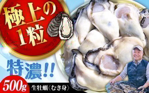 【1月21日（水）着】牡蠣 むき身 かき カキ 高品質の牡蠣を産地直送！ 【生牡蠣】【着日指定可能】 『てつまるかき』 牡蠣 むき身 500g 加熱用 かき 海鮮 海産物 簡単 広島県産 江田島市/有限会社テツマル海産 [XCO001]