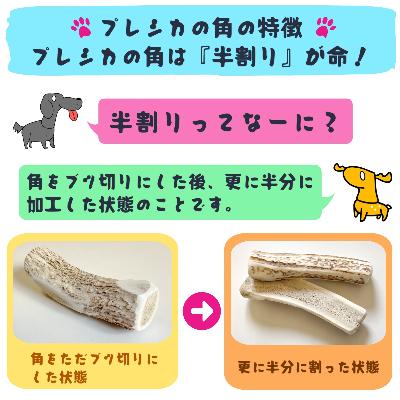 ふるさと納税 北見市 プレシカ　小型犬用鹿の角　Sサイズ半割り2本セット(約15cm) |  | 01