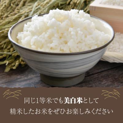 ふるさと納税 京丹後市 【毎月定期便】丹後こしひかり1等米10kg　美白精米[5kg×2袋]全3回 |  | 03