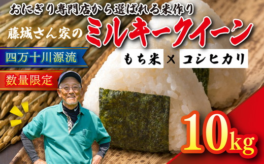 【おにぎり専門店御用達！】藤城さん家のミルキークイーン10kg【令和8年産】 ｜ ご飯 白米 お米 令和8年 定期便 令和8年産 10kg 精米済み 愛媛県鬼北町　※2026年9月～発送