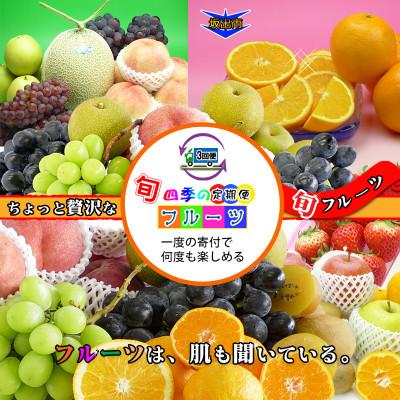 ふるさと納税 坂出市 【毎月定期便】産直あきんどのフルーツセットSサイズ 詰め合わせ ( 約3 〜 5品 )全3回