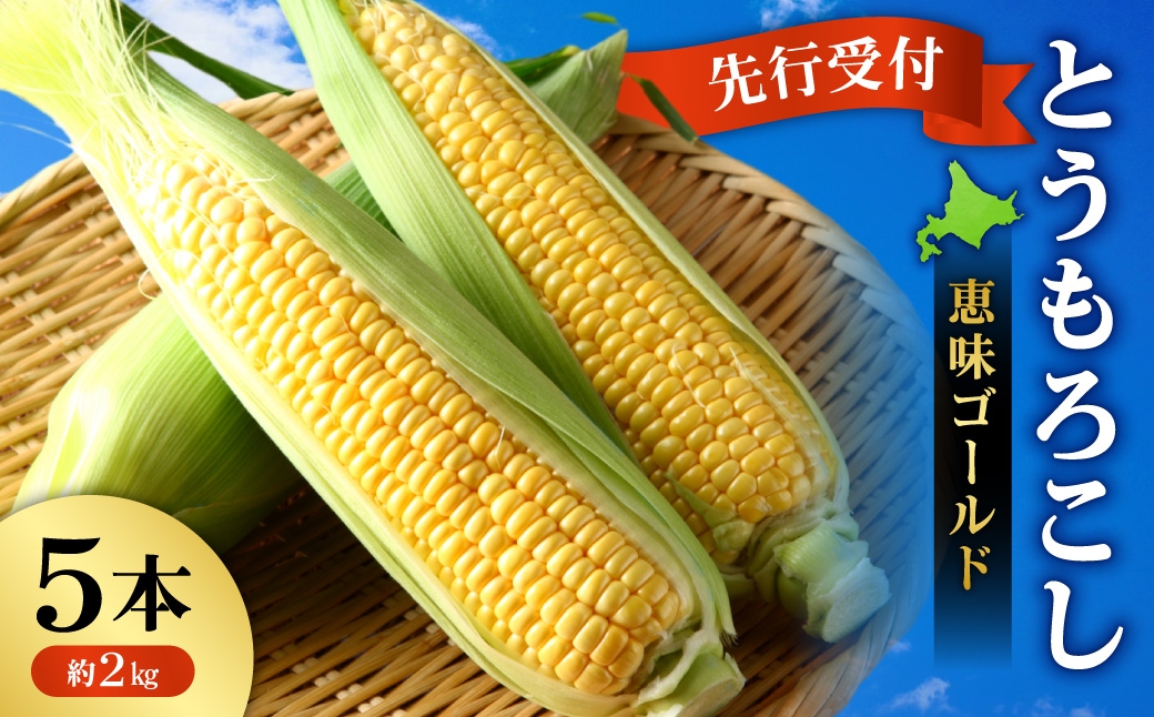 
                  【先行受付】とうもろこし（恵味ゴールド） 5本（約2kg）｜ 北海道産 とうもろこし 朝採り 新鮮 スイートコーン 北海道 札幌市
                