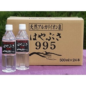 りょう泉はやぶさ　995〈500ml×24本〉【1031769】