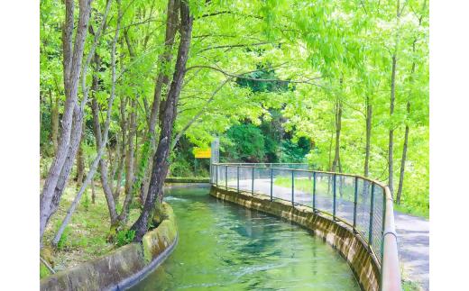 谷川流足圧～全身踏みほぐし～　90分コース　【HTR-101】_イメージ4