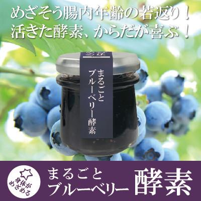 ふるさと納税 いすみ市 まるごとブルーベリー酵素