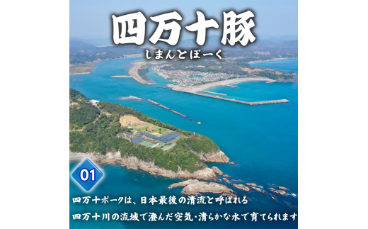 四万十ポークカツ【特製たれ付き】4人前 【道の駅須崎】 4人前(480g)
