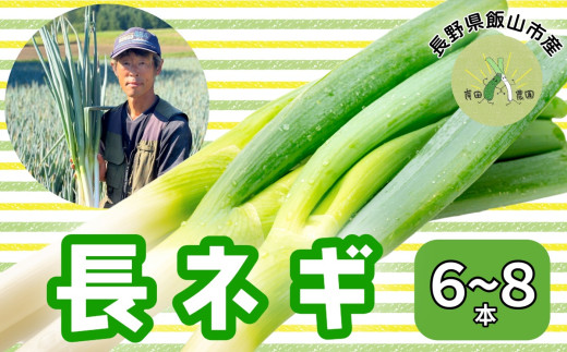 【先行予約】「飯山産 長ネギ 約６～８本【期間限定】(7-A10)