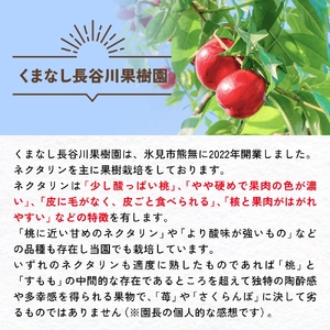 【先行予約】【訳あり】富山県産 ネクタリン 12個 （約3kg） ＜2026年8月中旬以降順次発送＞