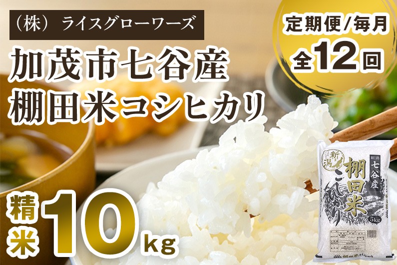 
                  【令和8年産新米先行予約】【定期便12ヶ月毎月お届け】新潟県加茂市 七谷産 棚田米コシヒカリ 精米10kg（5kg×2）《10月上旬～順次出荷》 白米 （株）ライスグローワーズ 定期便
                