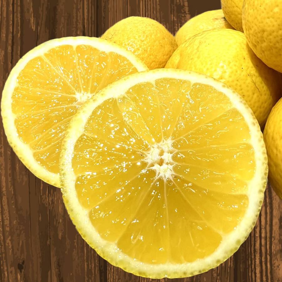 【もったいない！を食べよう】＜木負観光みかん園＞黄金柑5kg