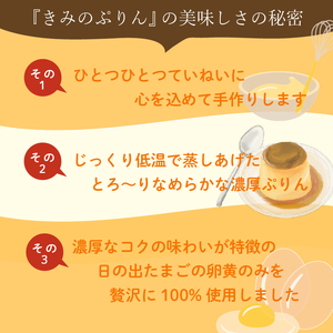 きみのぷりん3個入り【 スイーツ お菓子 プリン 静岡県 三島市 】
