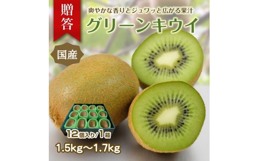 東伊豆・佐藤農園のキウイ　贈答用　12個入（2Lサイズ） 1331 ／ 佐藤農園 果物 フルーツ 農家直送 静岡県 東伊豆町