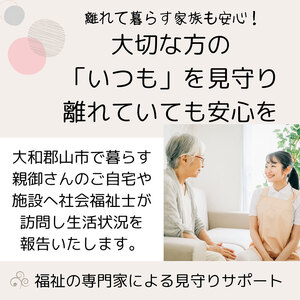 【親孝行は、ふるさと納税で】　ふるさとへ贈る安心　社会福祉士による見守り訪問サービスチケット　見守り 訪問 サービス 3か月分 月1回 報告 安心 福祉 支援 サポート 代行 親孝行　社会福祉士 00