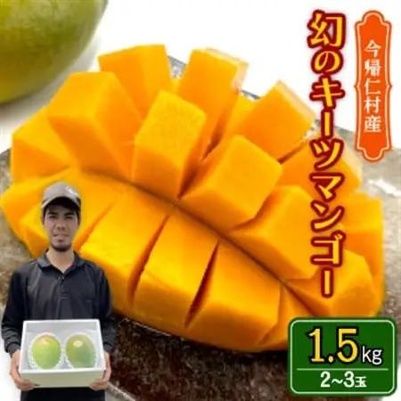 【先行受付・2026年8月から順次発送】仲本マンゴー園の幻のキーツマンゴー1.5kg【配送不可地域：離島】【1418219】