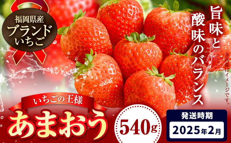 
いちご あまおう 先行予約 いちご 大量 540g 選べる発送時期 定期便 フルーツ《2025年2月発送》苺 旬 くだもの 果物 福岡県 小竹町
