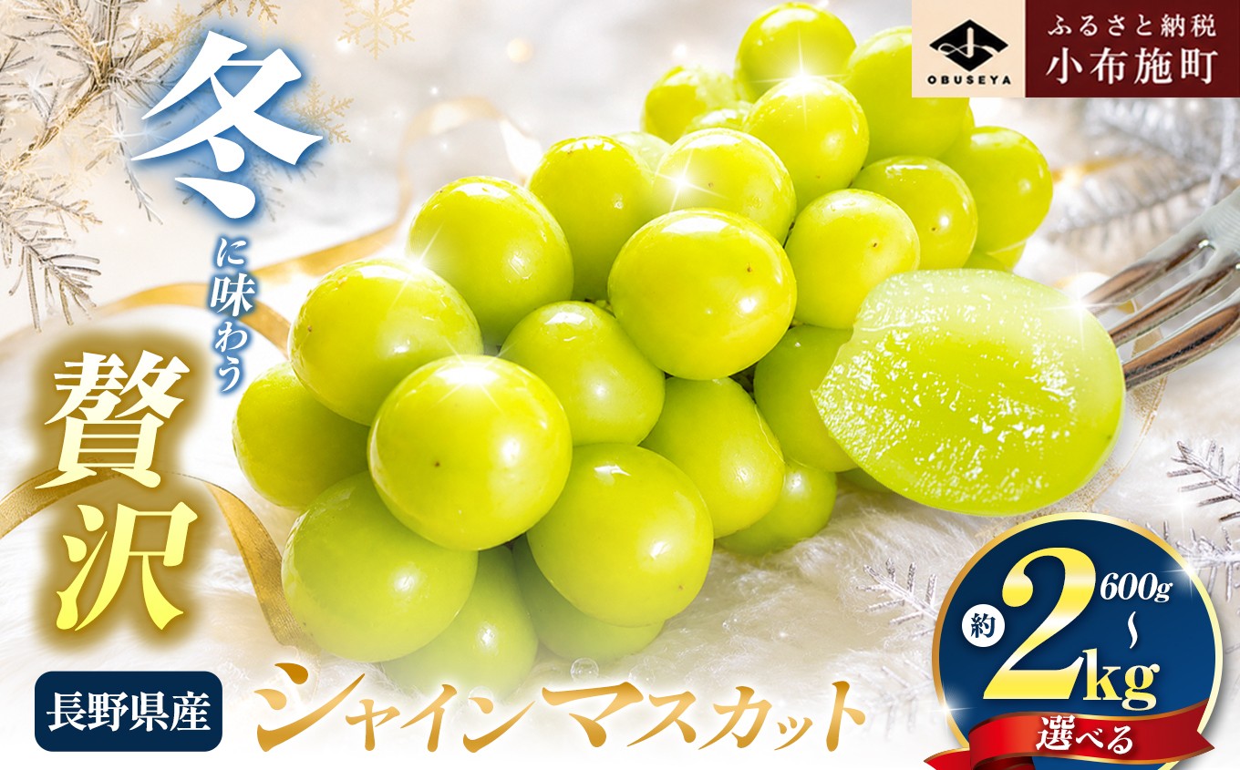 
                  蔵出し冬のシャインマスカット 約600g 約760g 約1kg 約1.3kg 約2kg 選べる内容量 ［小布施屋 ］ 年内配送 長野県 ぶどう フルーツ 果物 冷蔵便 クール便 令和8年産【2026年11月中旬～2027年2月発送】［A-502］
                