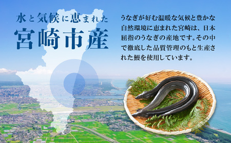 宮崎県宮崎市産　うなぎの蒲焼　約400g（約200g×2尾）タレ・山椒セット 鰻 ウナギ 丑の日