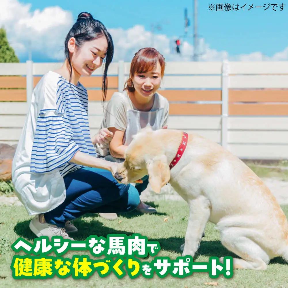 【全3回定期便】詰め合わせ 国内加工 ペット用 馬肉 切り落とし 約1kg ペット用 馬刺しジャーキー 約100g BHCY066