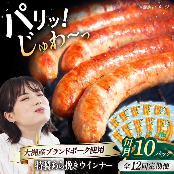 【ふるさと納税】【全12回定期便】 ウインナー（5本入り）×10袋 （計1200g） ブランドポーク 『オズの箱入り娘』 使用！ | 人気 おすすめ ランキング おいしい 大洲市/オズメッセ[AGAZ081] 200000 20万円 以上