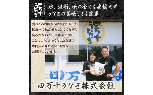 四万十うなぎ 蒲焼き セット 220g (110g×2尾) 国産／Esu-B92