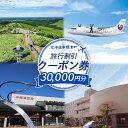 【ふるさと納税】旅行割引 クーポン券 30,000円分 寄付額 100,000円 オンライン 申請 ふるさと納税 北海道 中標津 旅行 旅行券 旅行クーポン 航空券 宿泊券 レンタカー タクシー 中標津町【64010】